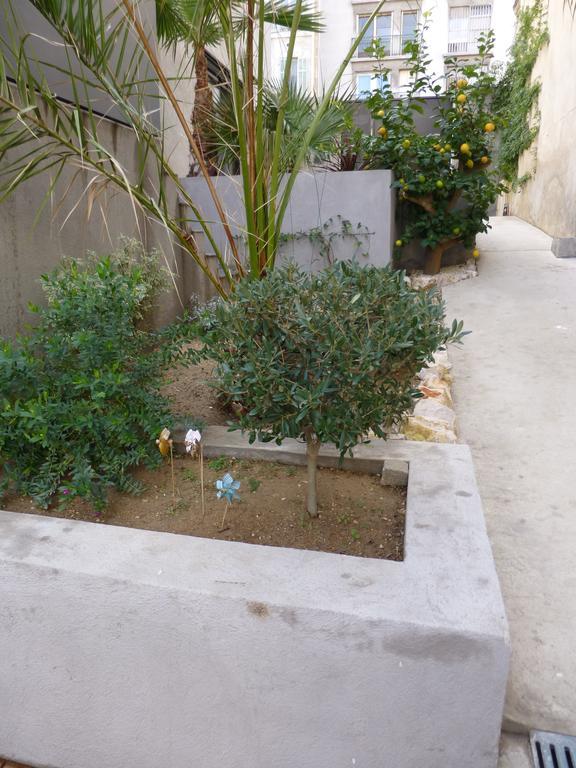 L'Orangeraie Et La Palmeraie D'Endoume مارسيليا المظهر الخارجي الصورة