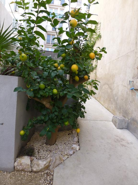 L'Orangeraie Et La Palmeraie D'Endoume مارسيليا المظهر الخارجي الصورة