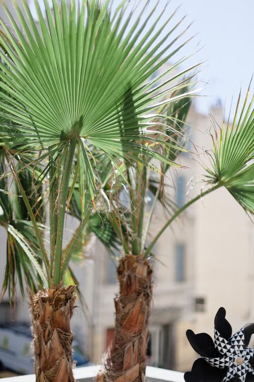 L'Orangeraie Et La Palmeraie D'Endoume مارسيليا المظهر الخارجي الصورة